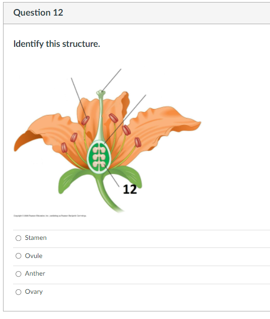 Question 1 Is This A Monocot Or A Eudicot Flower Eudicot Monocot Question 2 Is This A Monocot Or Eudicot Leaf Eudico 6