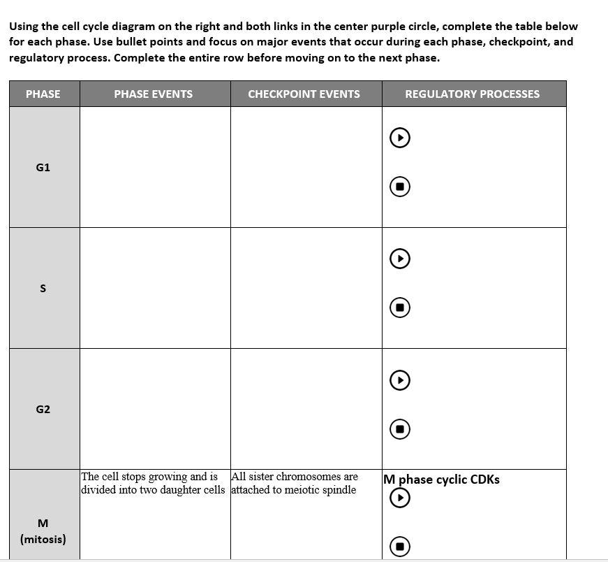 Using The Cell Cycle Diagram On The Right And Both Links In The Center Purple Circle Complete The Table Below For Each 1