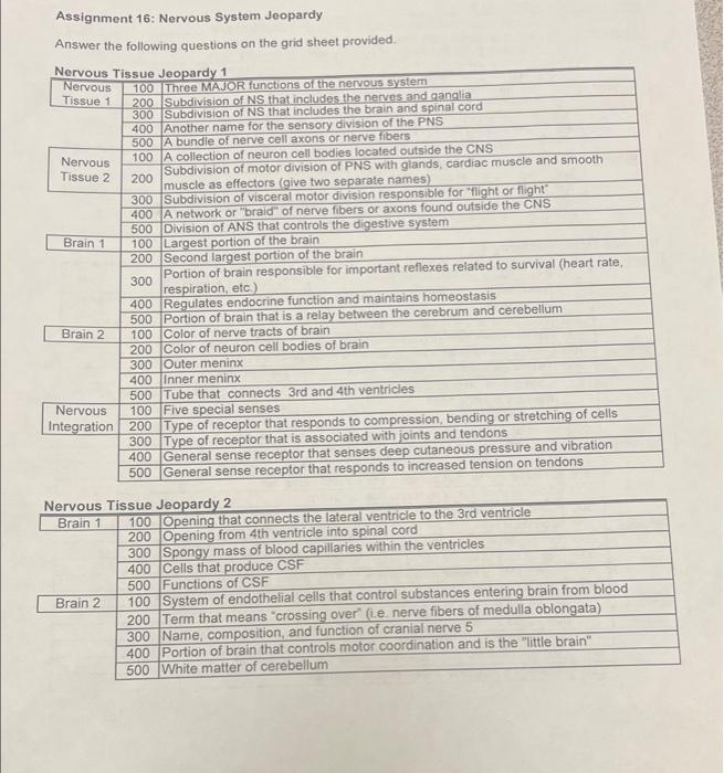 Assignment 16 Nervous System Jeopardy Answer The Following Questions On The Grid Sheet Provided Nervous Tissue Jeopard 1
