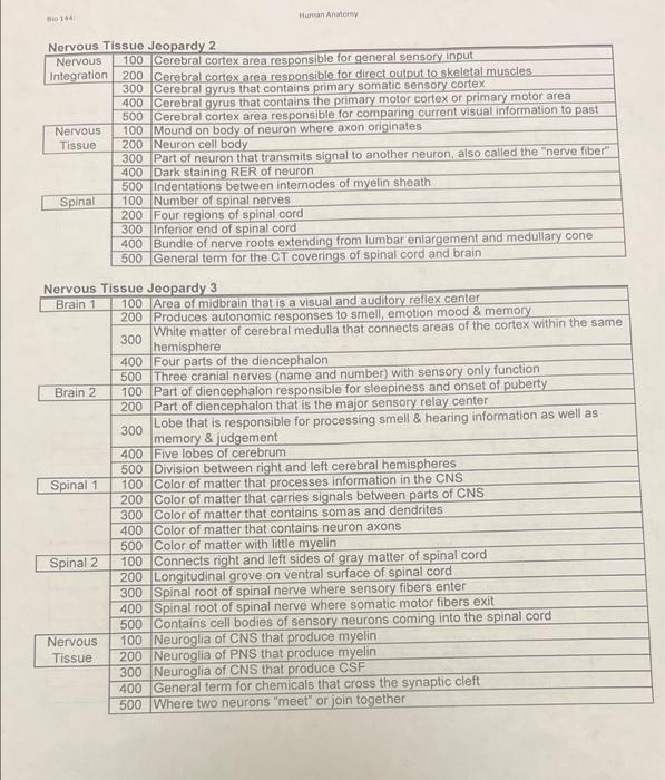 Assignment 16 Nervous System Jeopardy Answer The Following Questions On The Grid Sheet Provided Nervous Tissue Jeopard 2