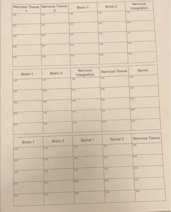 Assignment 16 Nervous System Jeopardy Answer The Following Questions On The Grid Sheet Provided Nervous Tissue Jeopard 3