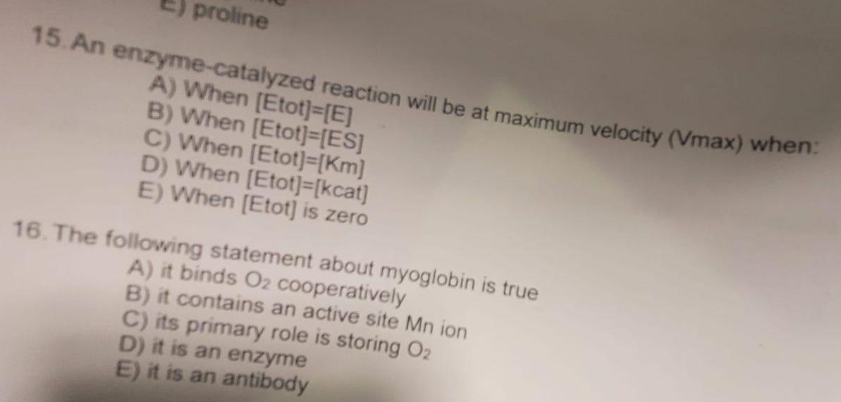 Proline 15 An Enzyme Catalyzed Reaction Will Be At Maximum Velocity Vmax When A When Etot E B When Etot Es 1
