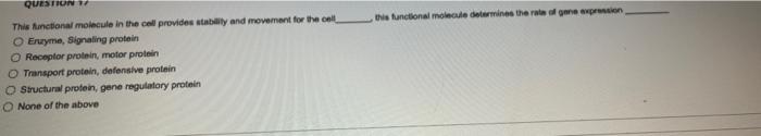 This Functional Molecule Determines The Role Olne Surcon Question This Functional Molecule In The Cell Provides Stabilit 1