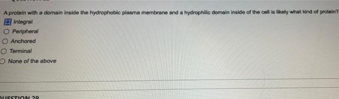 A Protein With A Domain Inside The Hydrophobic Plasma Membrane And A Hydrophilic Domain Inside Of The Cell Is Likely Wha 1