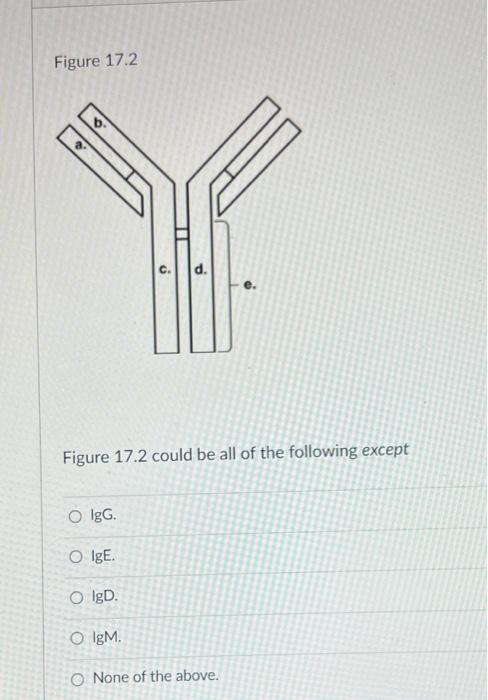 Figure 172 C D Figure 17 2 Could Be All Of The Following Except O Igg Ige Igd O Igm O None Of The Above 1