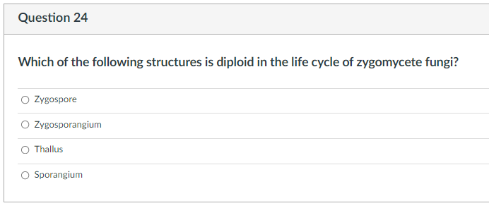 Question 24 Which Of The Following Structures Is Diploid In The Life Cycle Of Zygomycete Fungi Zygospore Zygosporangium 1