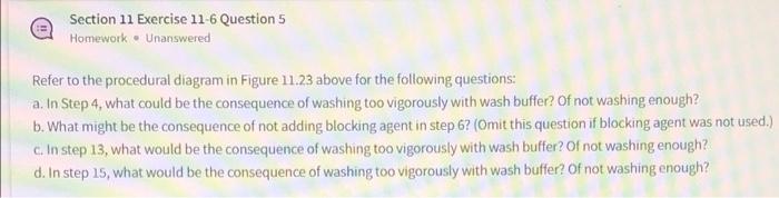 Section 11 Exercise 11 6 Question 4 Homework Unanswered Consider The Samples Tested A Why Are The Samples Run In Tripl 3