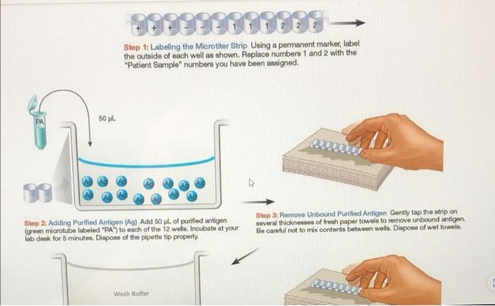 Section 11 Exercise 11 6 Question 4 Homework Unanswered Consider The Samples Tested A Why Are The Samples Run In Tripl 4