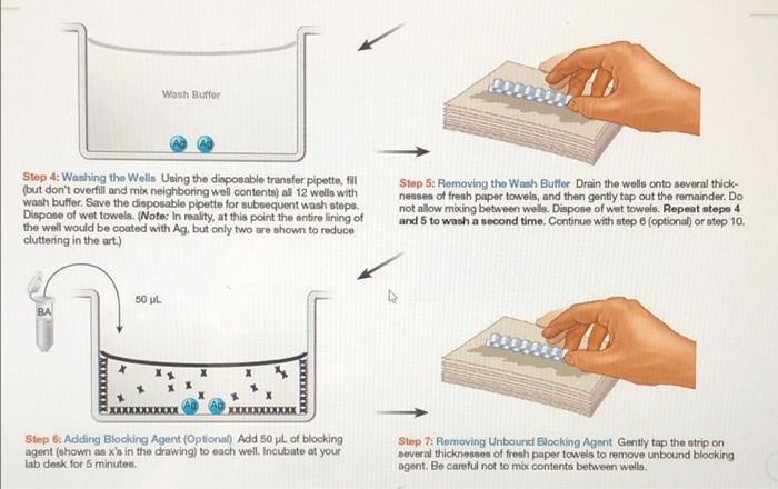 Section 11 Exercise 11 6 Question 4 Homework Unanswered Consider The Samples Tested A Why Are The Samples Run In Tripl 5
