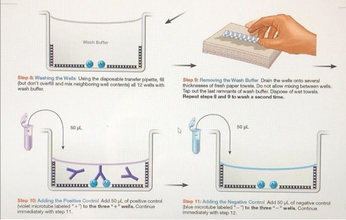 Section 11 Exercise 11 6 Question 4 Homework Unanswered Consider The Samples Tested A Why Are The Samples Run In Tripl 6