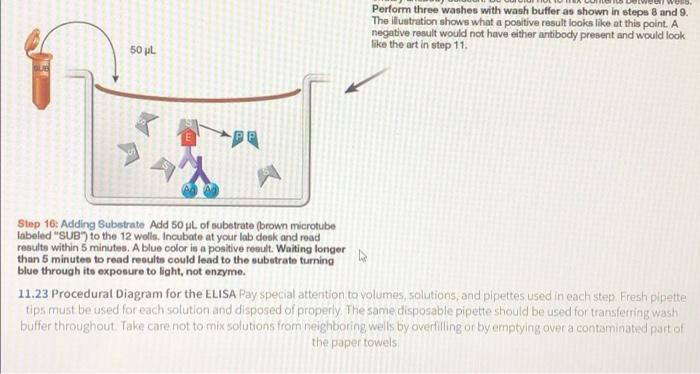 Section 11 Exercise 11 6 Question 4 Homework Unanswered Consider The Samples Tested A Why Are The Samples Run In Tripl 9