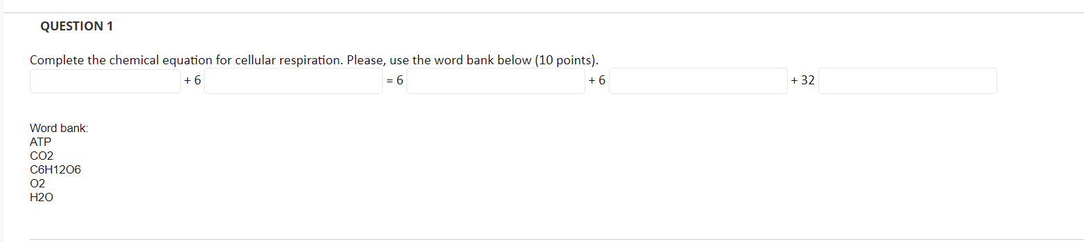 Question 1 Complete The Chemical Equation For Cellular Respiration Please Use The Word Bank Below 10 Points 6 6 1