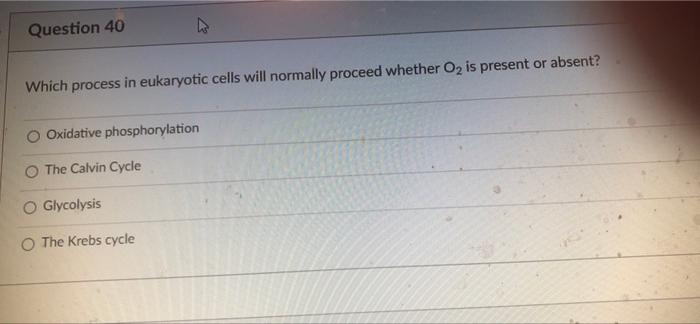 Question 37 Which Of The Following Best Describes Competitive Inhibition The Competitive Inhibitor Is Needed On The Act 4