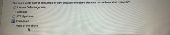 The Calvin Cycle Itself Is Stimulated By Light Because Energized Electrons Can Activate What Molecule Lactate Dehydroge 1