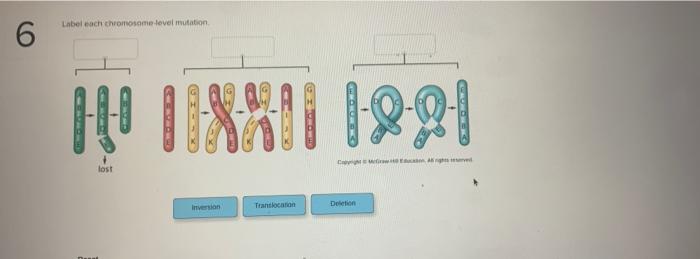 Label Ach Chromosome Level Mutation 6 1 Iral 110 1981 Lost Invention Translocation Dotion 1