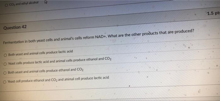 O Co And Ethyl Alcohol 1 5 Pt Question 42 Fermentation In Both Yeast Cells And Animal S Cells Reform Nad What Are The 1