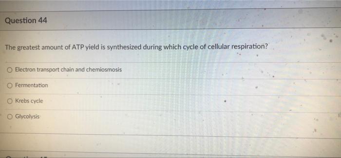 O Co And Ethyl Alcohol 1 5 Pt Question 42 Fermentation In Both Yeast Cells And Animal S Cells Reform Nad What Are The 2