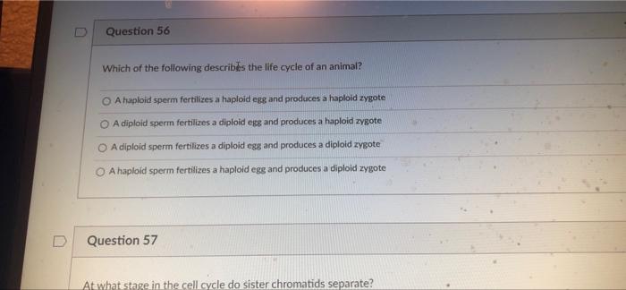 Question 50 1 5 Pts Which Of The Following Statements Best Represents The Relationships Between The Light Dependent Reac 7