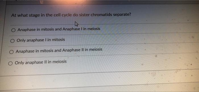At What Stage In The Cell Cycle Do Sister Chromatids Separate N O Anaphase In Mitosis And Anaphase I In Meiosis O Only 1