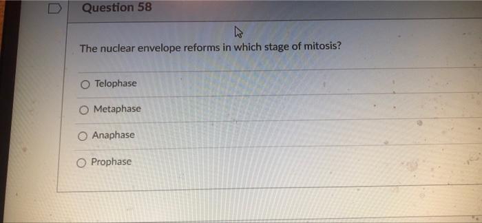 At What Stage In The Cell Cycle Do Sister Chromatids Separate N O Anaphase In Mitosis And Anaphase I In Meiosis O Only 2