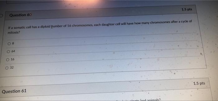 At What Stage In The Cell Cycle Do Sister Chromatids Separate N O Anaphase In Mitosis And Anaphase I In Meiosis O Only 4