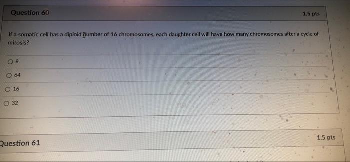 At What Stage In The Cell Cycle Do Sister Chromatids Separate N O Anaphase In Mitosis And Anaphase I In Meiosis O Only 5