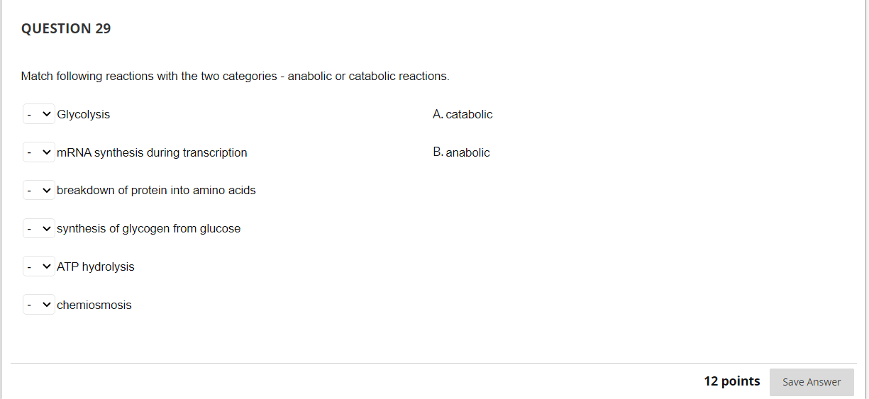 Question 29 Match Following Reactions With The Two Categories Anabolic Or Catabolic Reactions Glycolysis A Catabolic 1