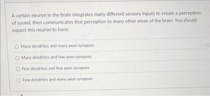 A Certain Neuron In The Brain Integrates Many Different Sensory Inputs To Create A Perception Of Sound Then Communicate 1