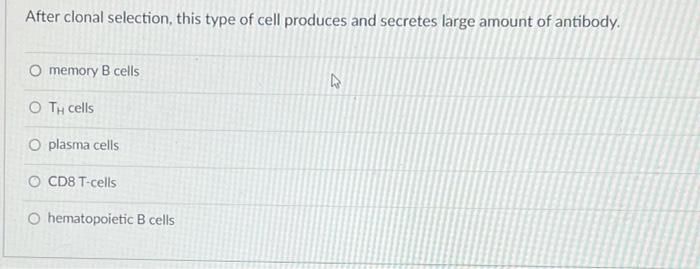 After Clonal Selection This Type Of Cell Produces And Secretes Large Amount Of Antibody O Memory B Cells O T Cells O 1