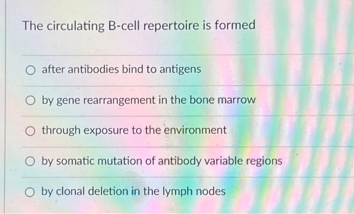 The Circulating B Cell Repertoire Is Formed O After Antibodies Bind To Antigens O By Gene Rearrangement In The Bone Marr 1