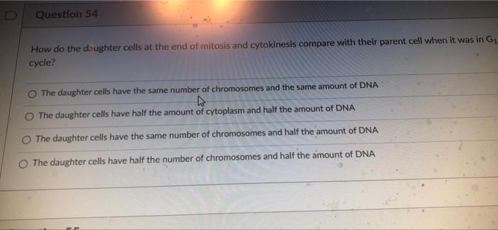Question 52 1 5 Pts What Is Are The Most Significant Activity Activities That Occur In The Cell During The Synthesis S 4