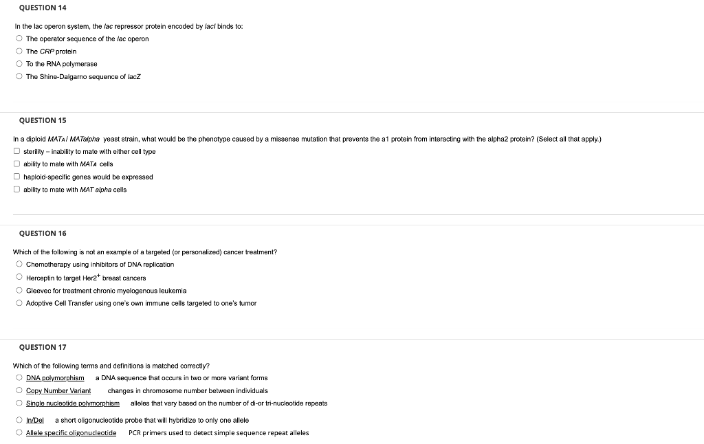 Question 14 In The Lac Operon System The Lac Repressor Protein Encoded By Lac Binds To The Operator Sequence Of The L 1