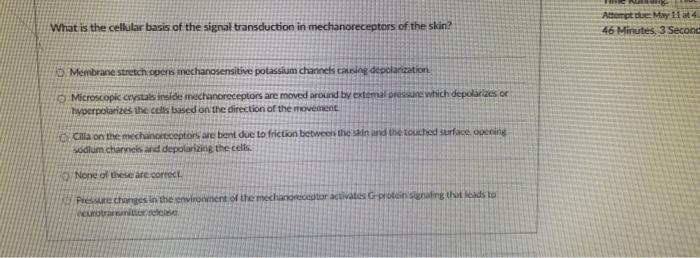 What Is The Cellular Basis Of The Signal Transduction In Mechanoreceptors Of The Skin Attempte May 11 4 46 Minutes 3 1