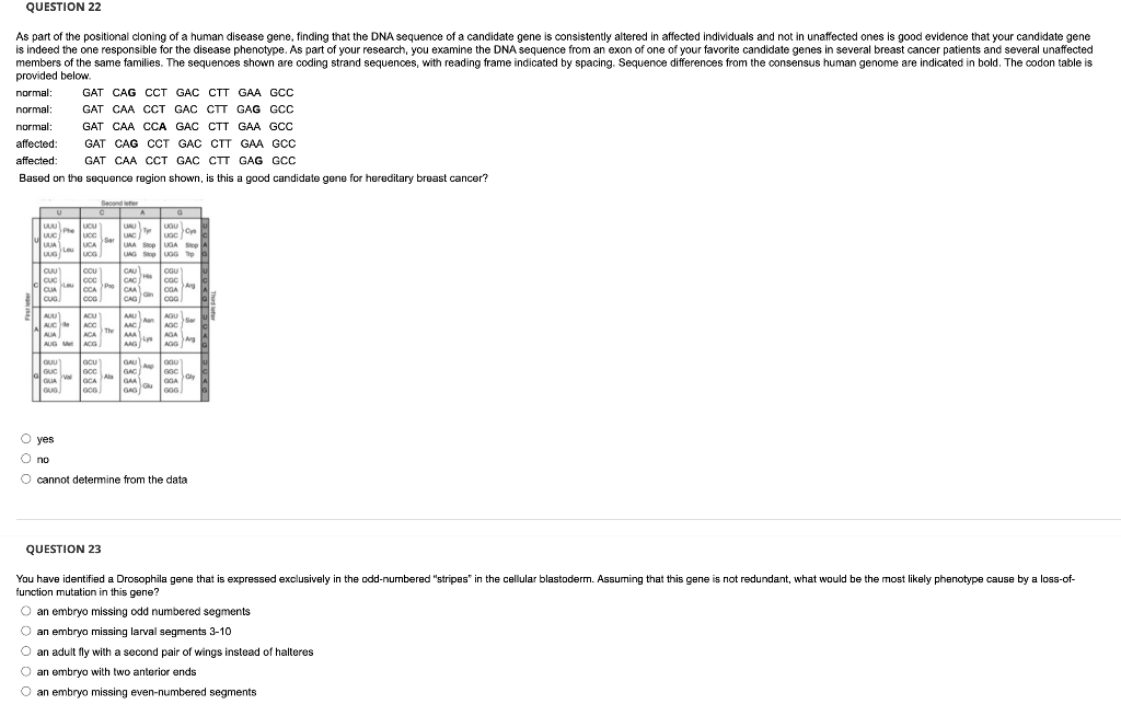Question 22 As Part Of The Positional Cloning Of A Human Disease Gene Finding That The Dna Sequence Of A Candidate Gene 1