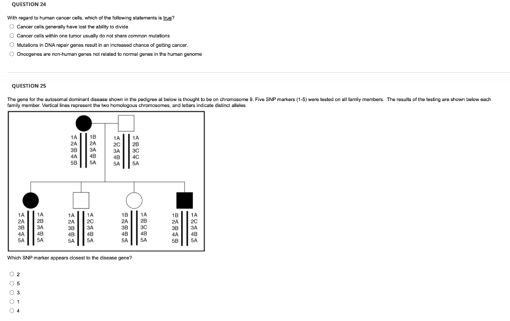 Question 24 With Regard To Human Cancer Cells Which Of The Following Statements Is True O Cancer Cells Generally Have 1