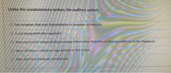 Unlike The Somatosensory System The Auditory System Has Receptors That May Hyperpolarize In Response To Stimulus O Is 1