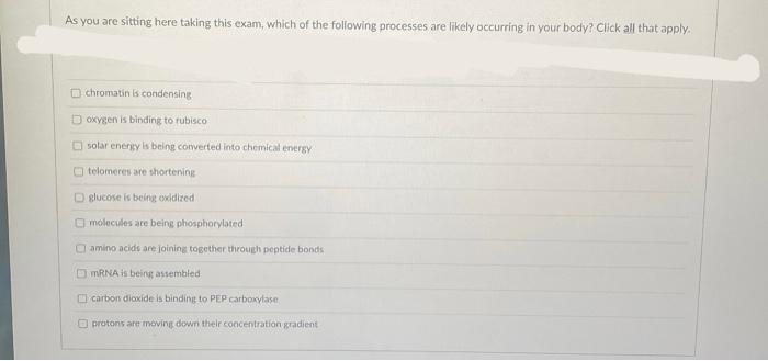As You Are Sitting Here Taking This Exam Which Of The Following Processes Are Likely Occurring In Your Body Click All 1