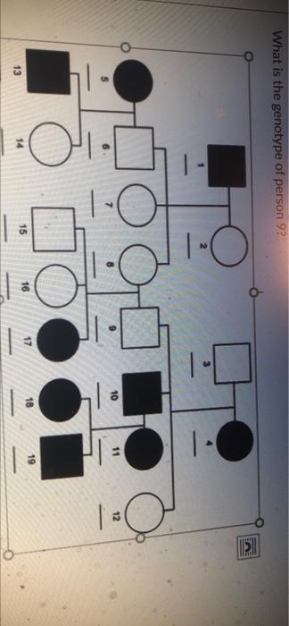 Question 79 Which Of These Mechanisms Ensures That Dna Replication Is Accurate Choose All The Apply Proofreading Repli 2