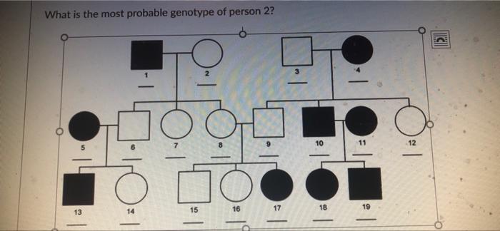 Question 79 Which Of These Mechanisms Ensures That Dna Replication Is Accurate Choose All The Apply Proofreading Repli 3