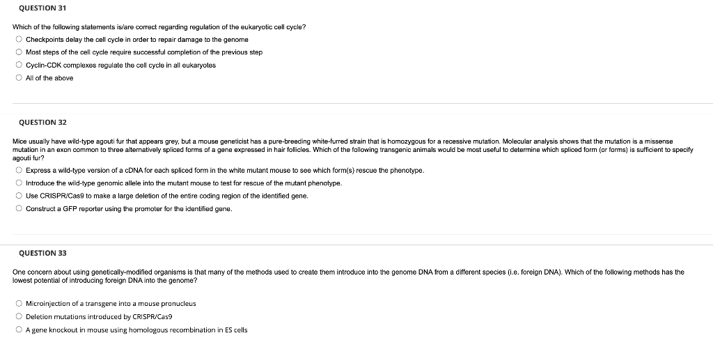 Question 31 Which Of The Following Statements Is Are Correct Regarding Regulation Of The Eukaryotic Cell Cycle Checkpoi 1