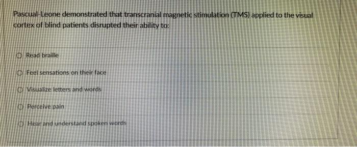 Pascual Leone Demonstrated That Transcranial Magnetic Stimulation Tms Applied To The Visual Cortex Of Blind Patients D 1