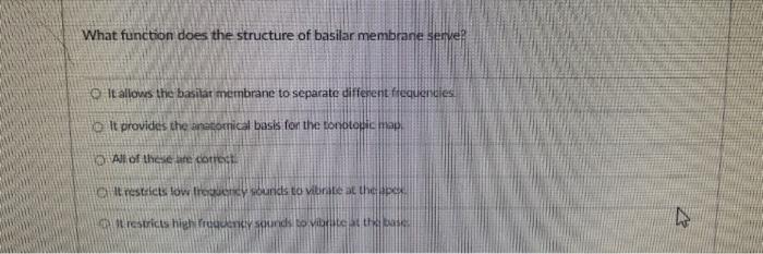 What Function Does The Structure Of Basilar Membrane Serve It Allows The Basilat Membrane To Separate Different Frequenc 1