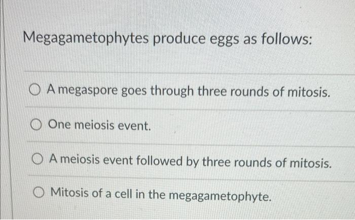 Megagametophytes Produce Eggs As Follows A Megaspore Goes Through Three Rounds Of Mitosis One Meiosis Event O A Meios 1