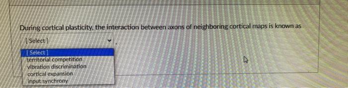 During Cortical Plasticity The Interaction Between Axons Of Neighboring Cortical Maps Is Known As Select Select Ter 1