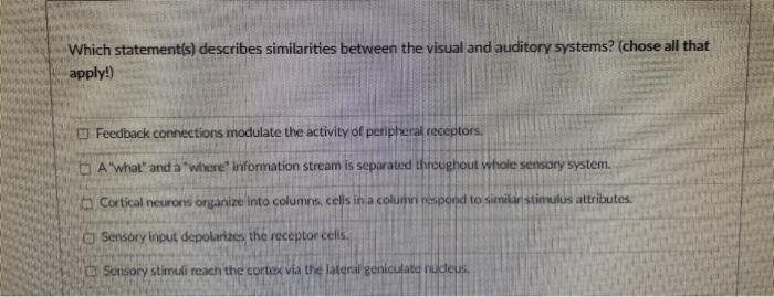 Which Statement S Describes Similarities Between The Visual And Auditory Systems Chose All That Apply Feedback Conn 2