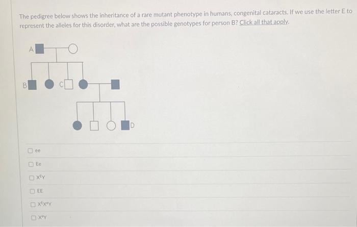 The Pedigree Below Shows The Inheritance Of A Rare Mutant Phenotype In Humans Congenital Cataracts If We Use The Lette 1