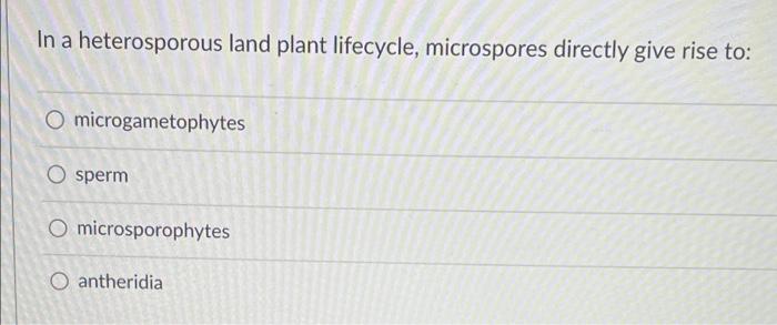 In A Heterosporous Land Plant Lifecycle Microspores Directly Give Rise To O Microgametophytes O Sperm O Microsporophyt 1