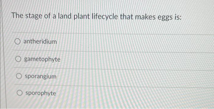 The Stage Of A Land Plant Lifecycle That Makes Eggs Is O Antheridium O Gametophyte O Sporangium O Sporophyte 1