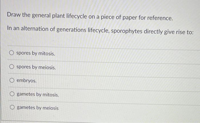 Draw The General Plant Lifecycle On A Piece Of Paper For Reference In An Alternation Of Generations Lifecycle Sporophy 1