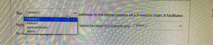 Pathway In The Retina Consists Of A 3 Neuron Chain It Facilitates The Select Select Indirect High Paraventicular Dir 1